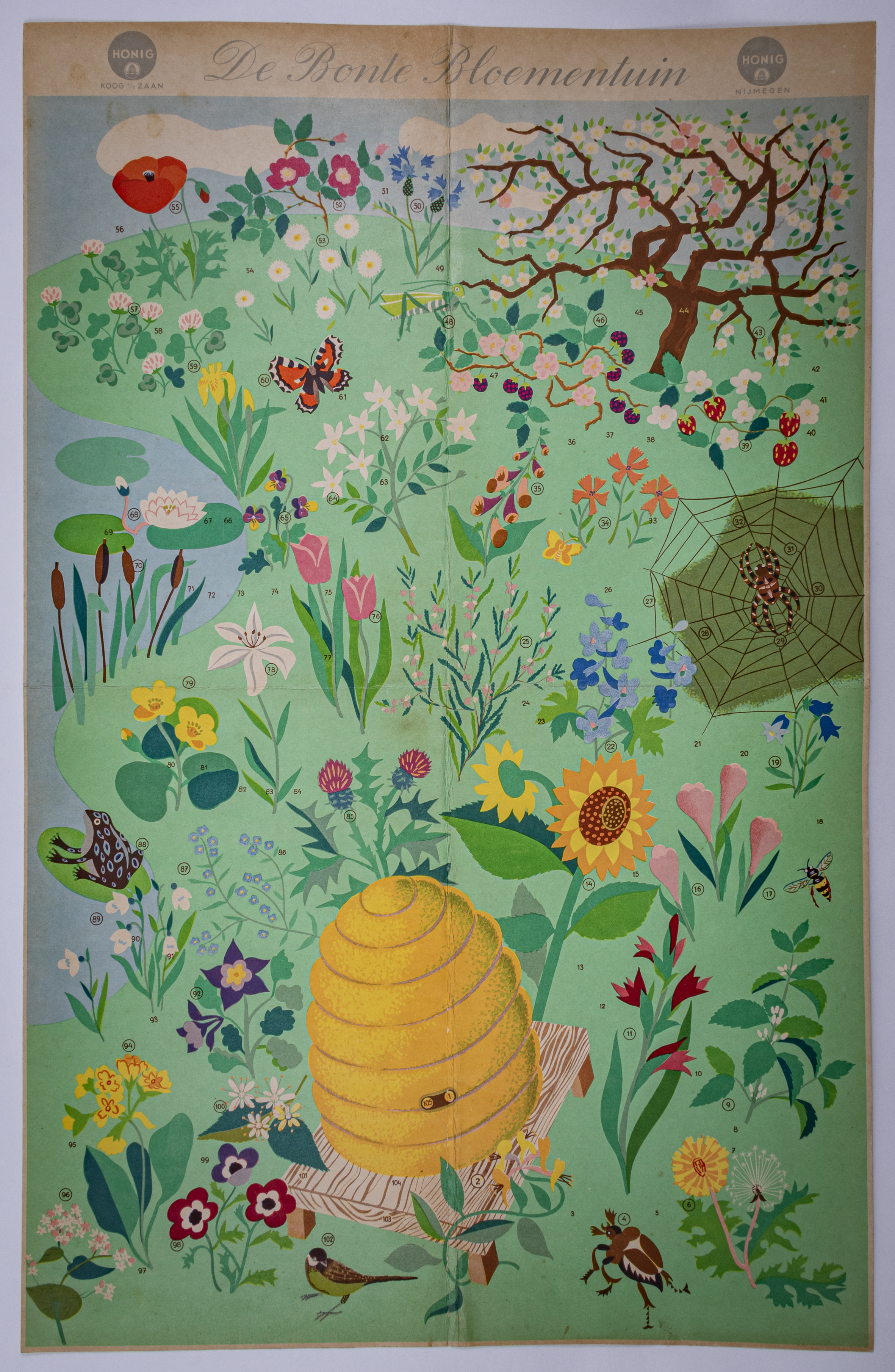 De Bonte Bloementuin