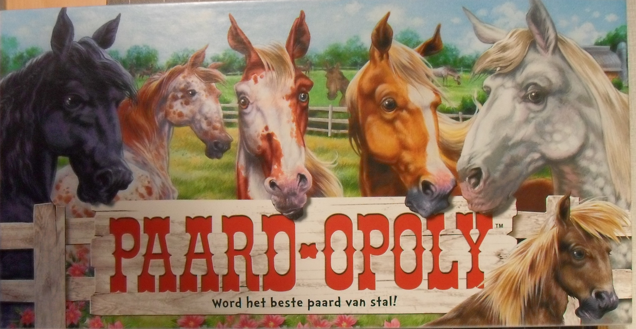 Paard-opoly
