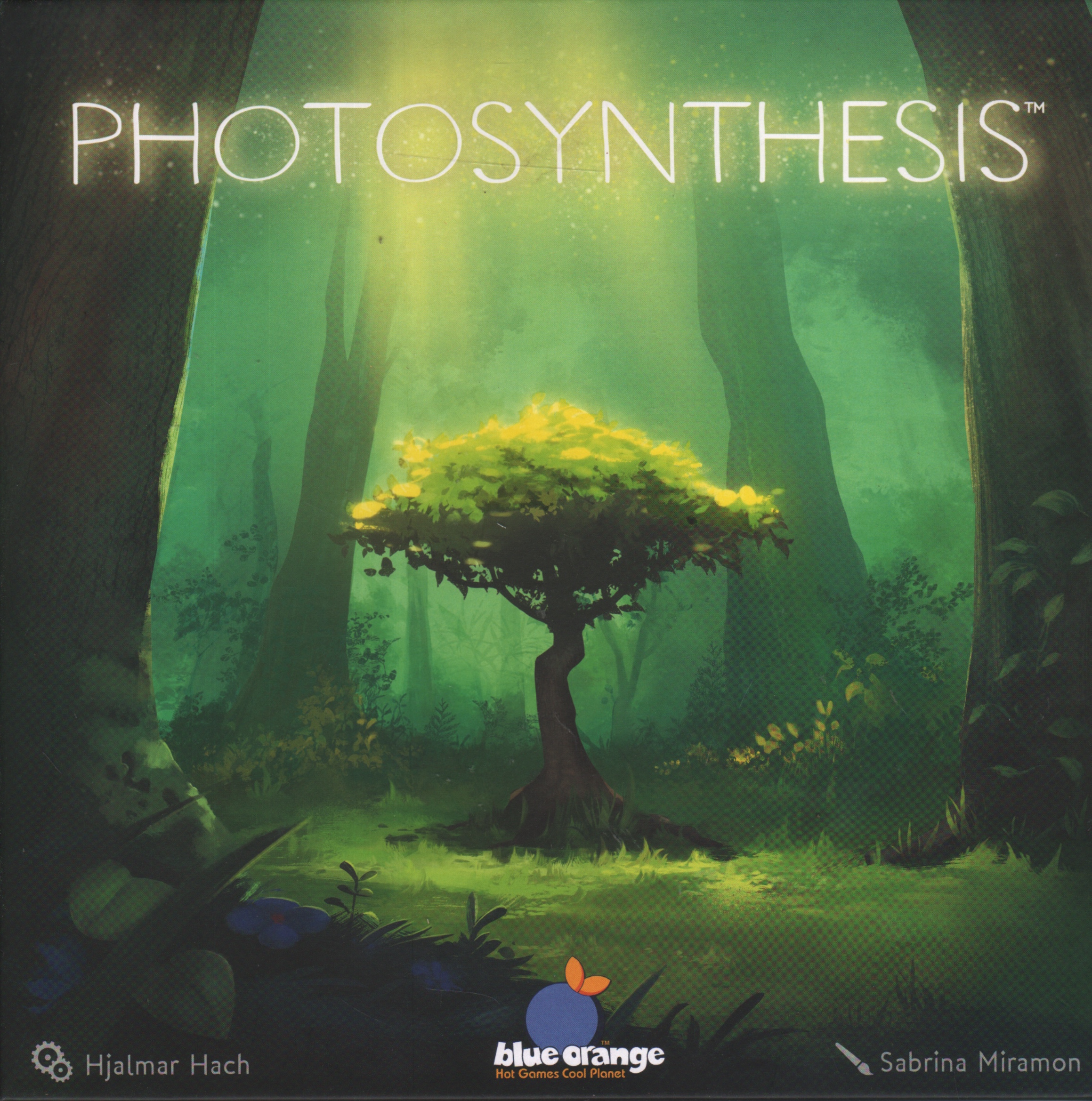 Photosynthesis