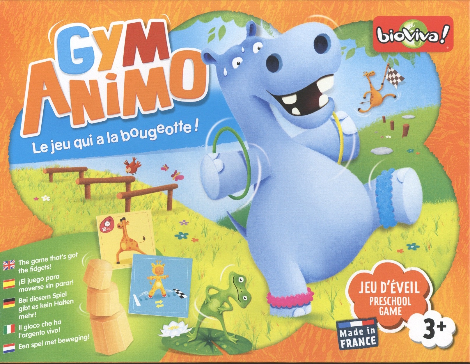Gym Animo