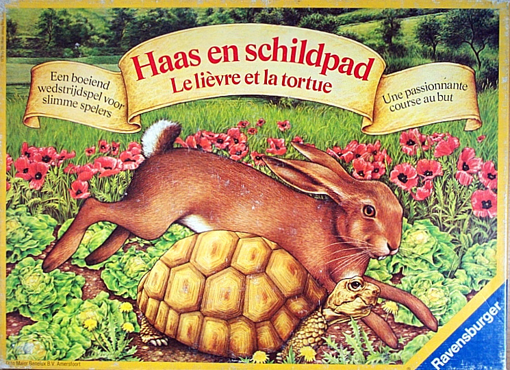 Haas en Schildpad