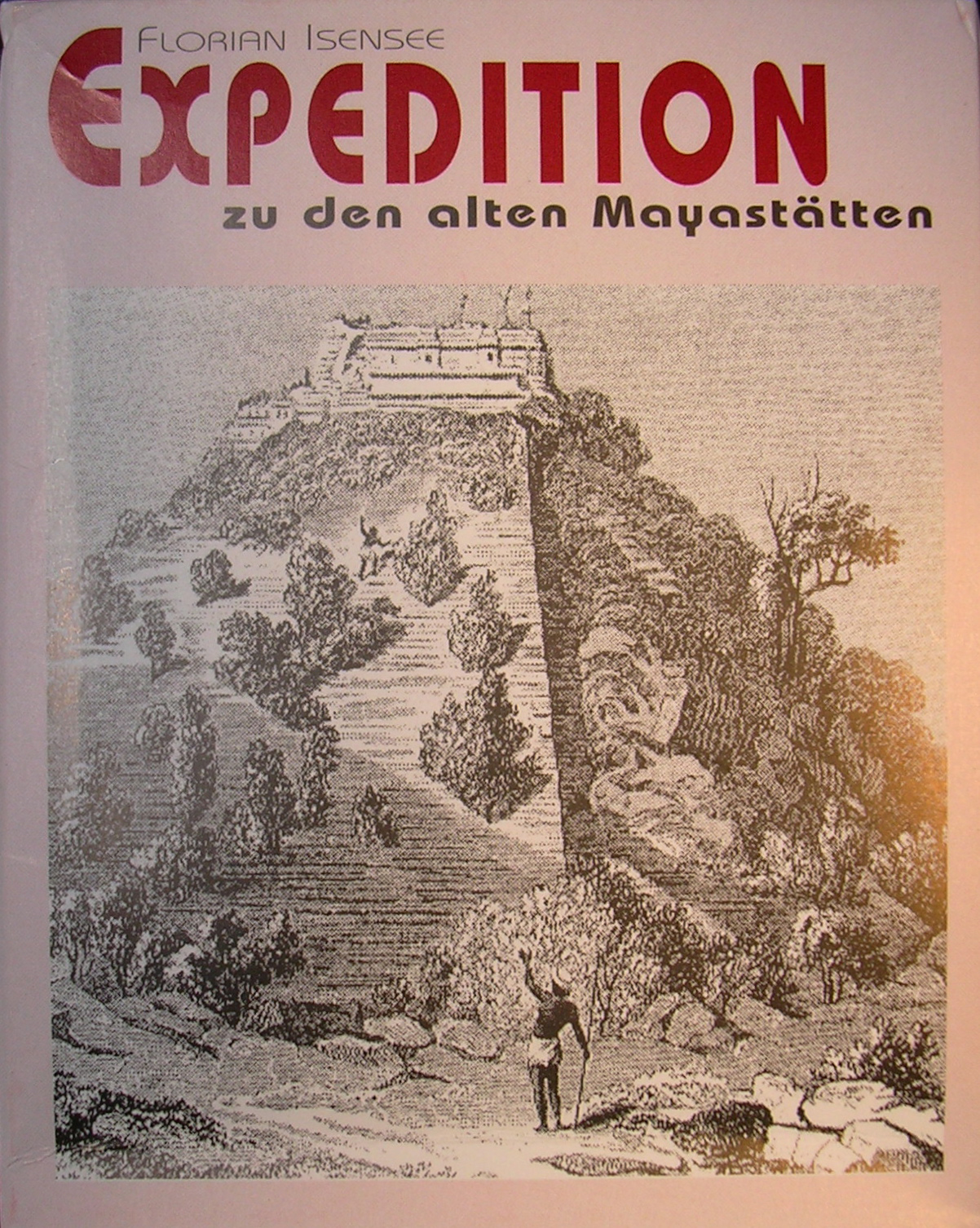 Expedition zu den alten Mayastätten