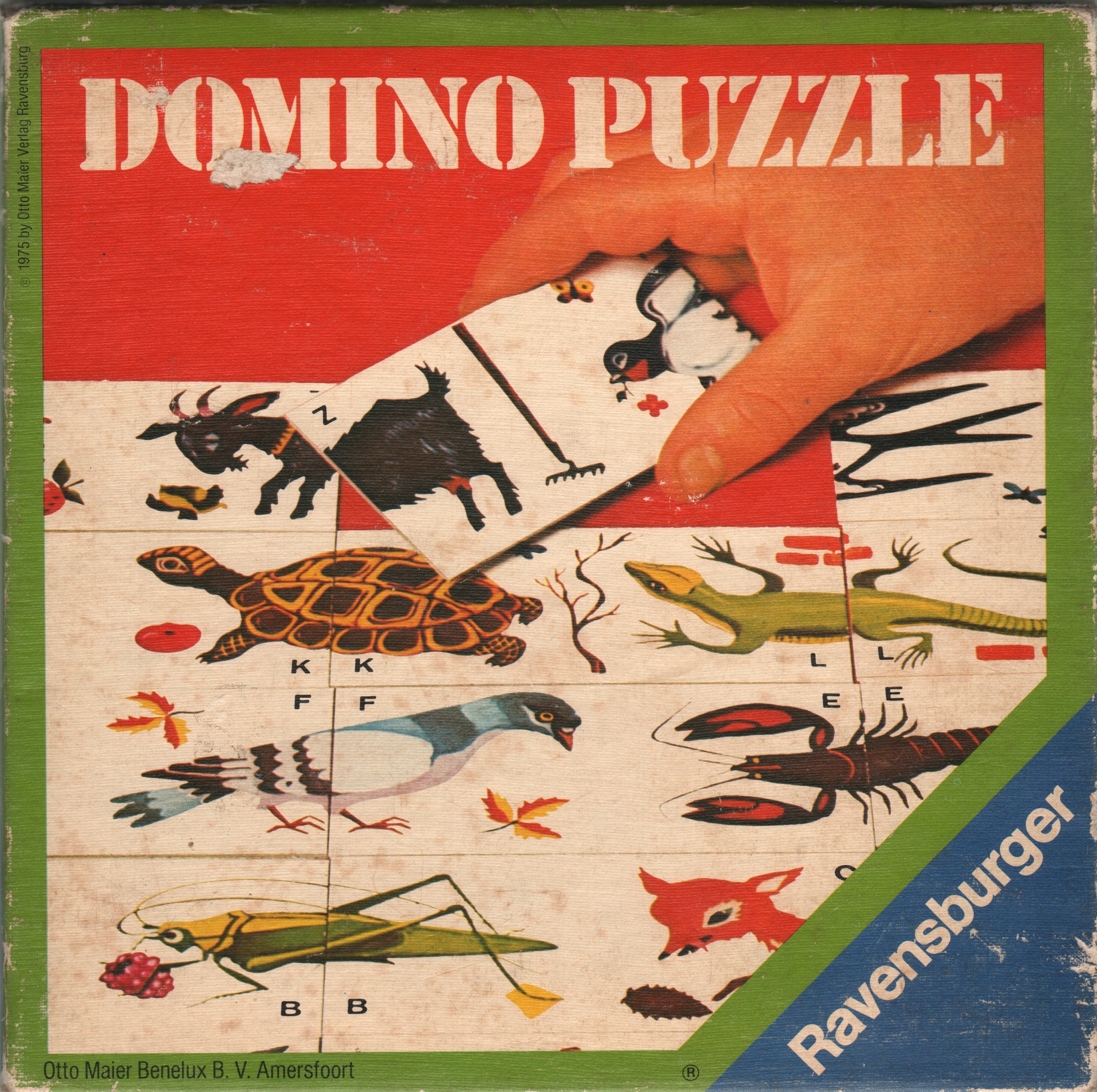 Domino Puzzle
