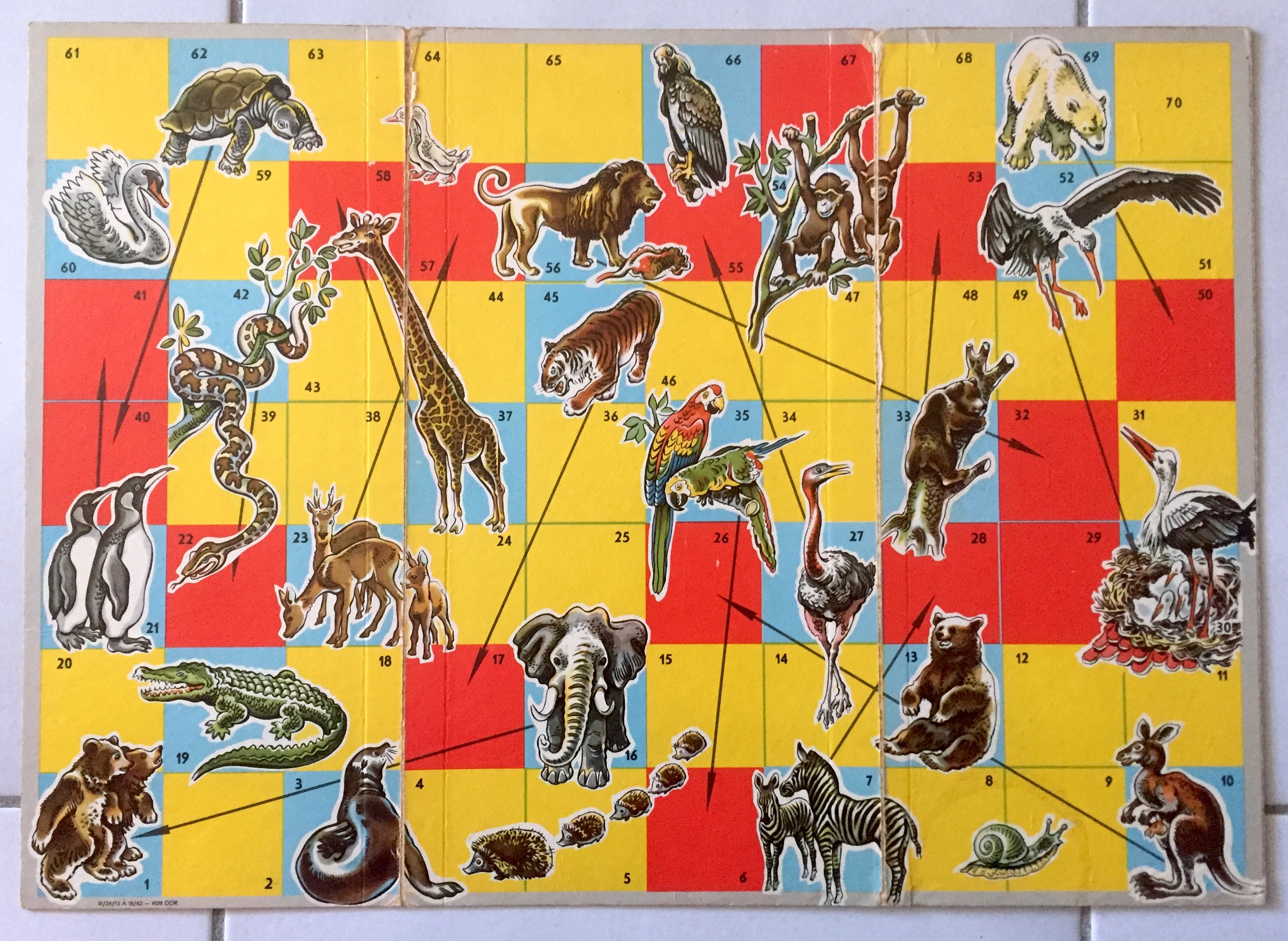 Slangen & Ladders: Dieren van de Zoo & Trekroute Vogels