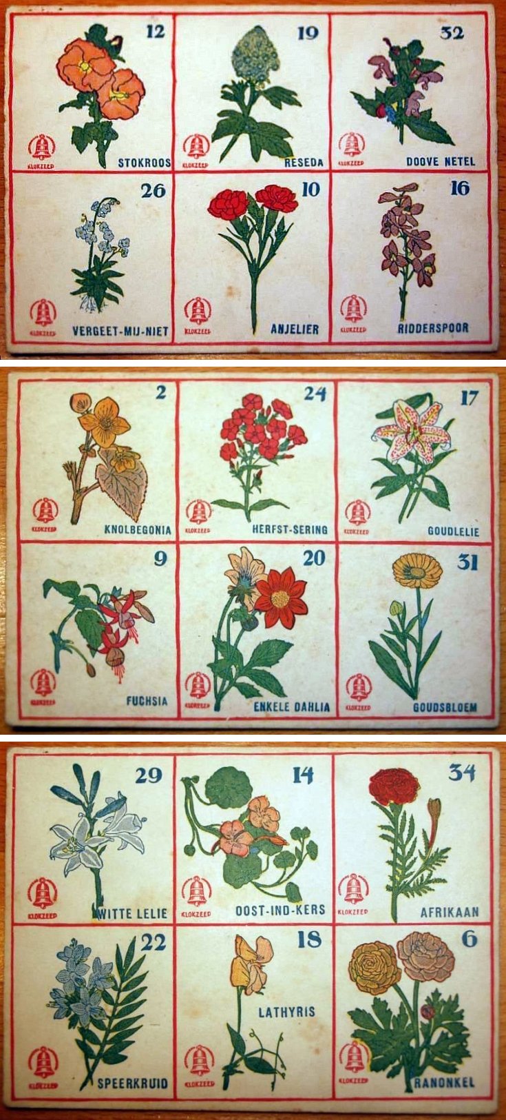 1000-3.jpg