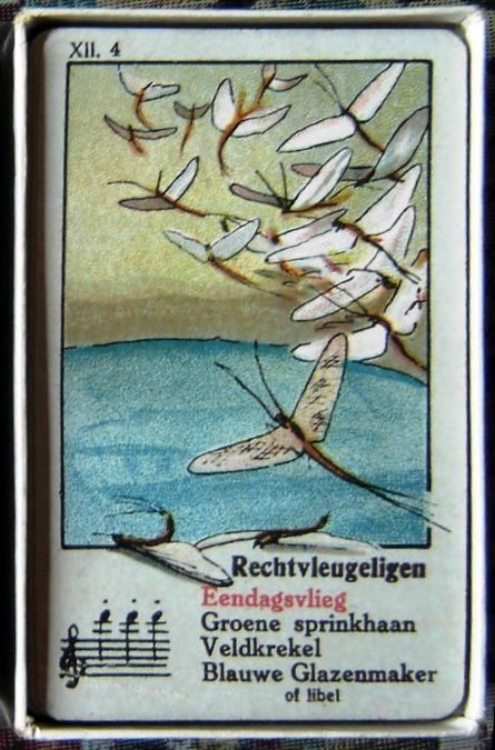 1572-4.jpg