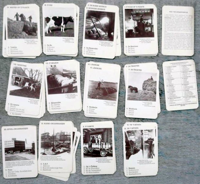 12886-2.jpg